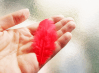 赤い羽根を持っている手